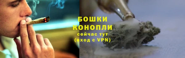 бутират Богданович