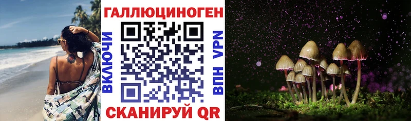 Галлюциногенные грибы Psilocybe  где найти   Мосальск 